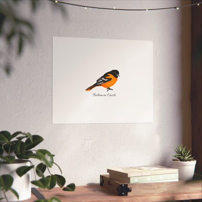 Baltimore Oriole Bird Birding Matte Poster