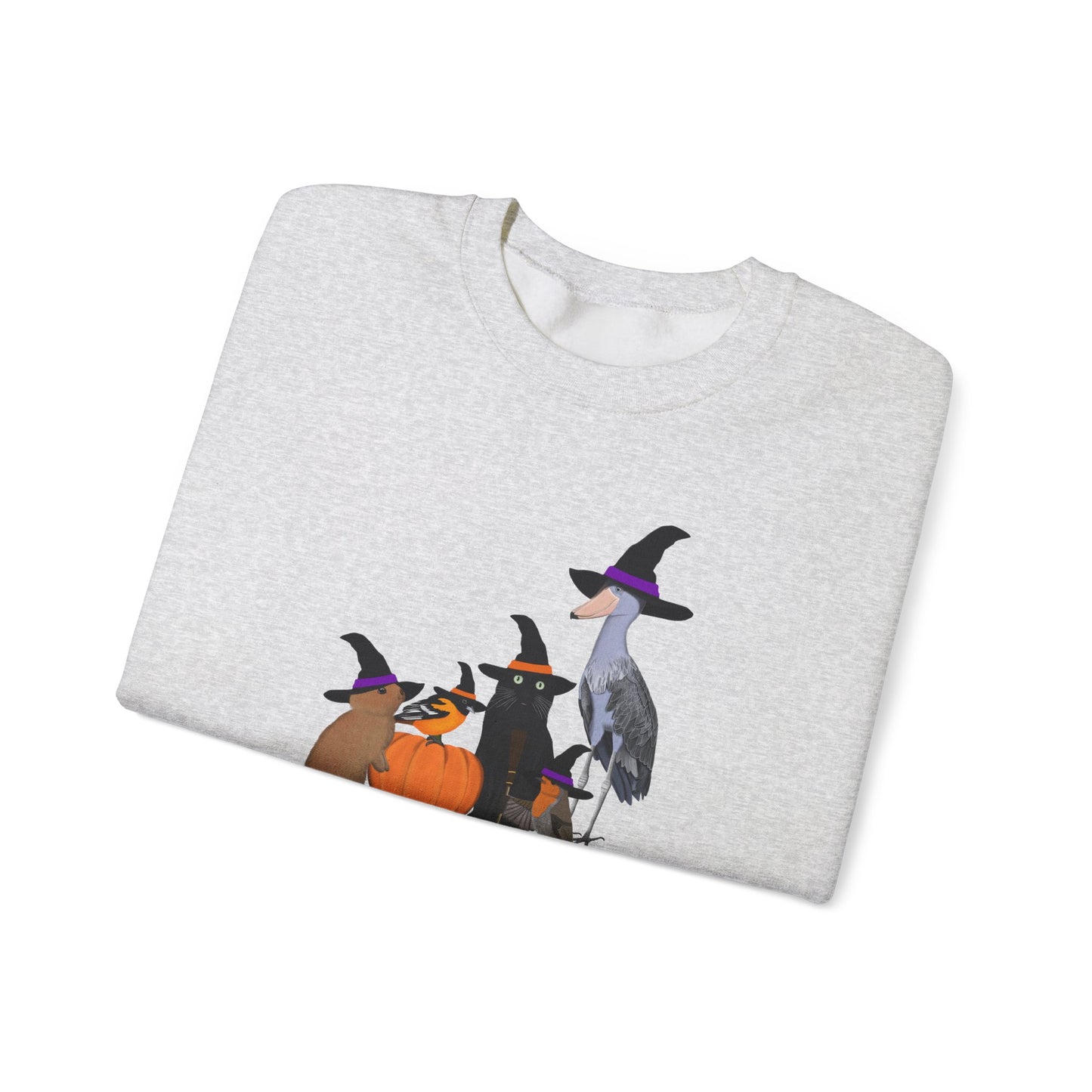 Robin Shoebill Oriole Rabbit with Cat Happy Halloween Birds Sweatshirt