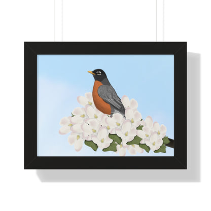 Robin Spring Blossoms Bird Framed Poster