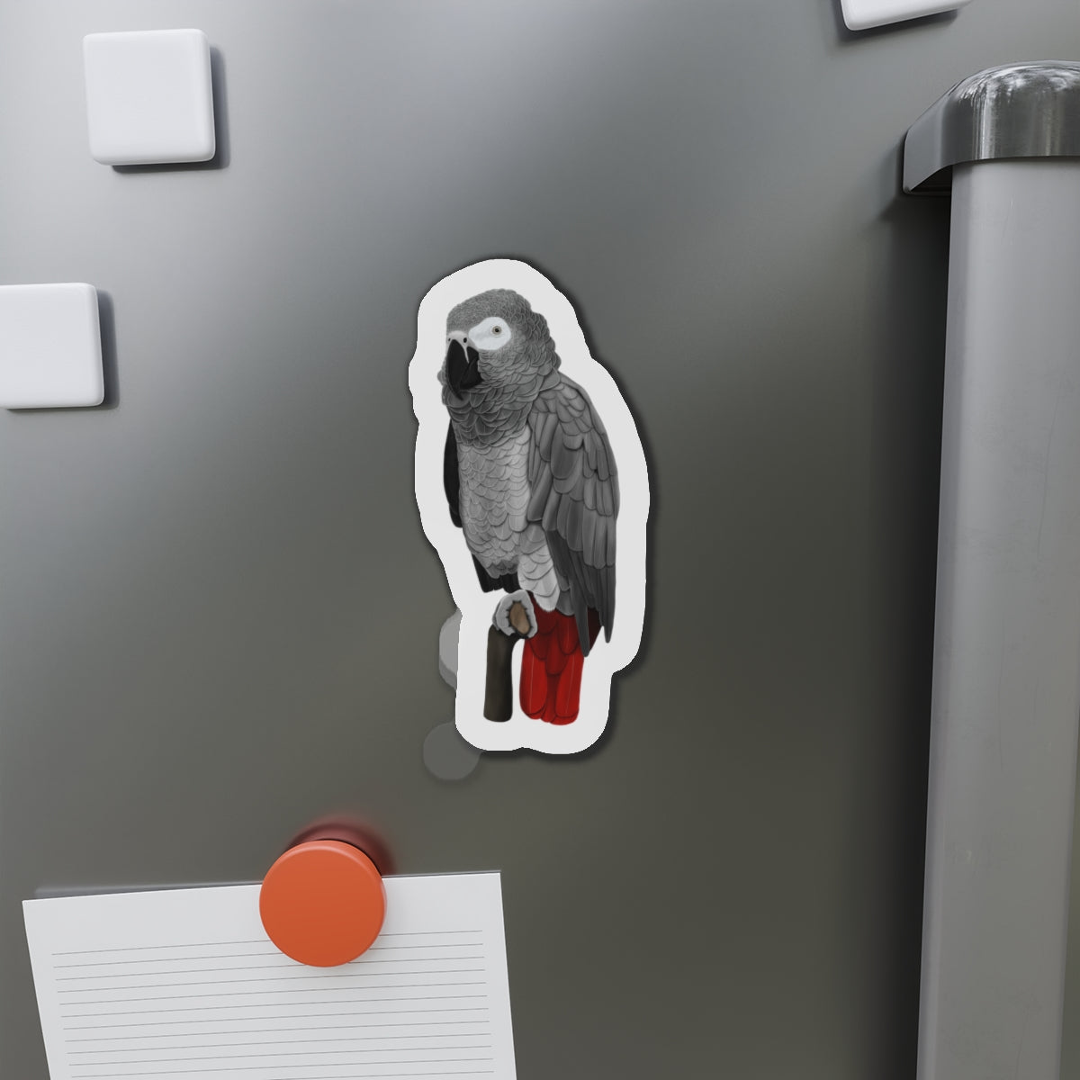 Grey Parrot Bird Magnet