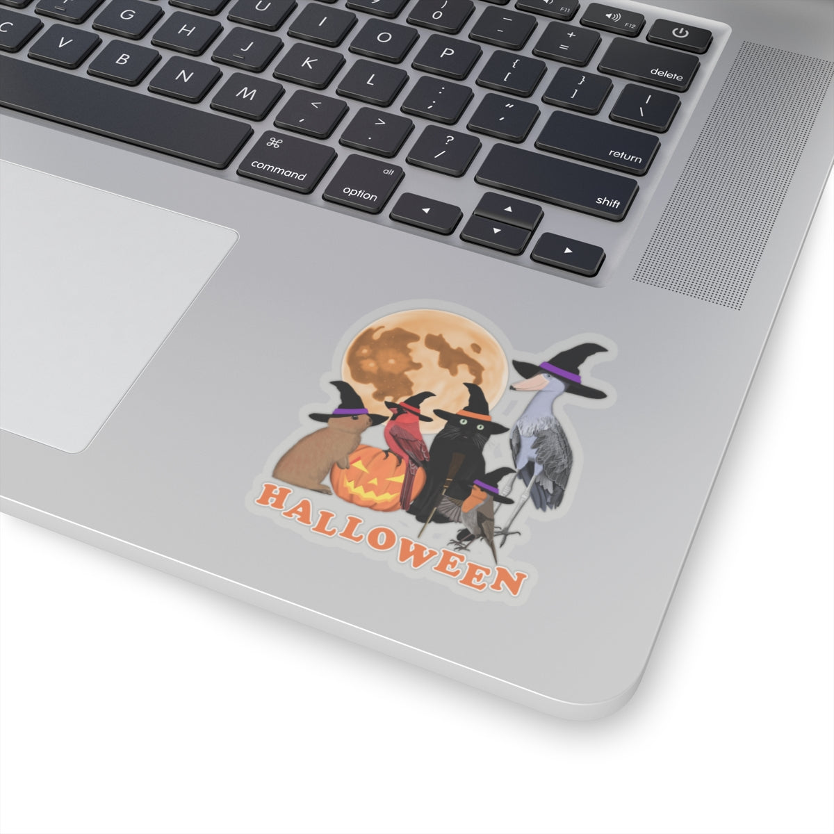 Cardinal Robin Shoebill with Cat and Bunny Halloween Bird Sticker