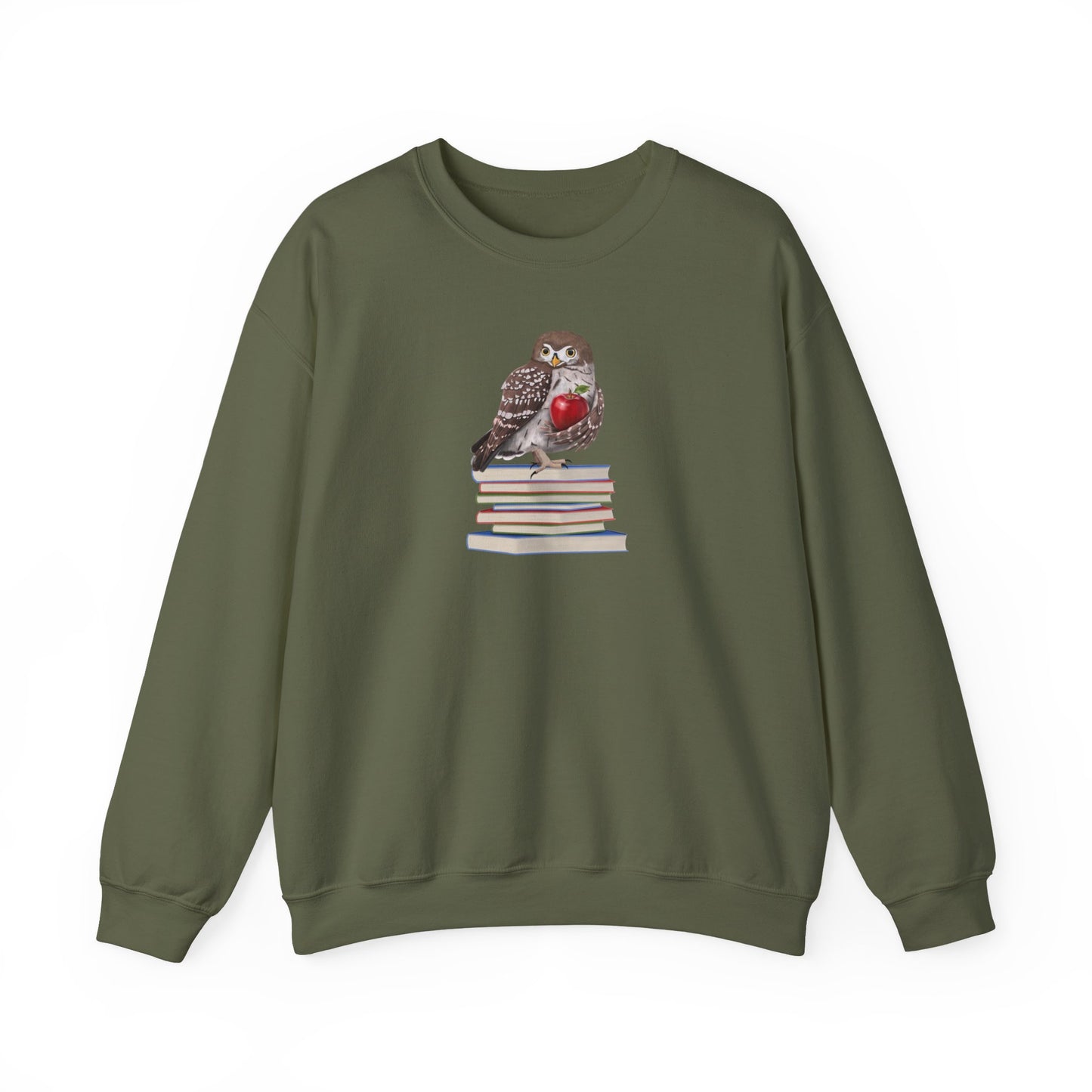 Cute Owl on Books Teacher Sweatshirt – Cozy Back to School Aesthetic