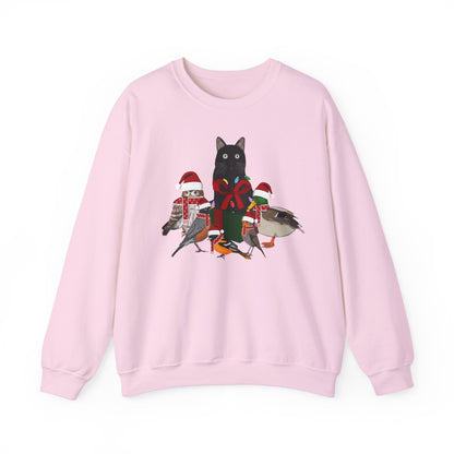 Robin Mallard Oriole Owl with Cat in a Box and Fairy Lights Birdwatcher Christmas Bird Sweatshirt