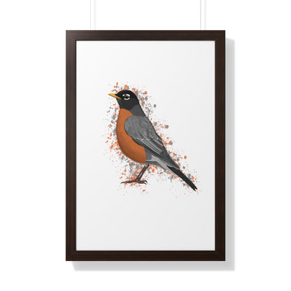 Robin Bird Framed Poster