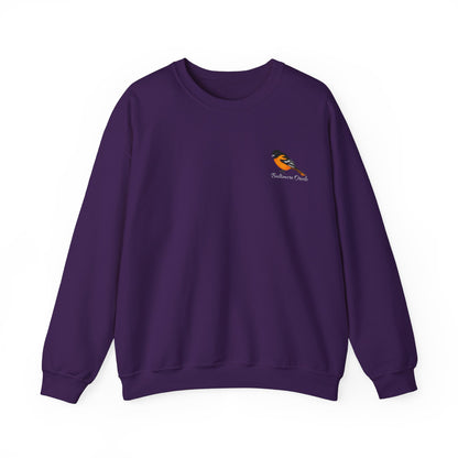 Baltimore Oriole Birding & Birdwatching Bird Sweatshirt