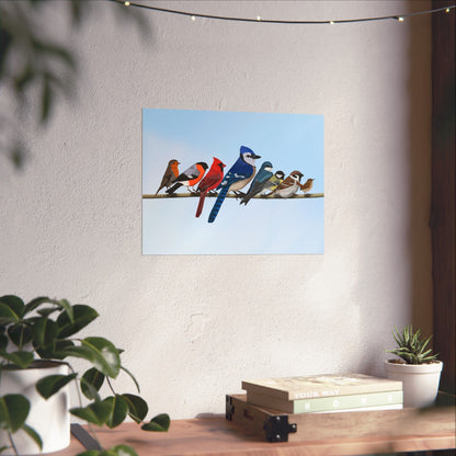 Backyard Birds Blue Jay Cardinal Bullfinch Robin Matte Bird Poster