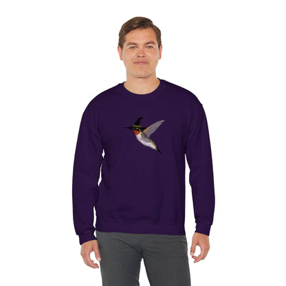 Hummingbird Halloween Birds Witch Birdwatcher Sweatshirt