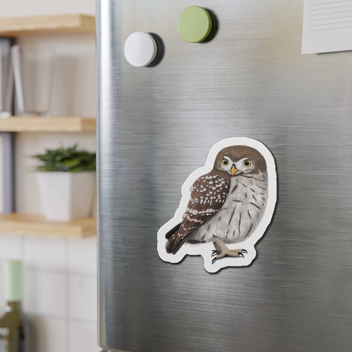 Little Owl Bird Magnet