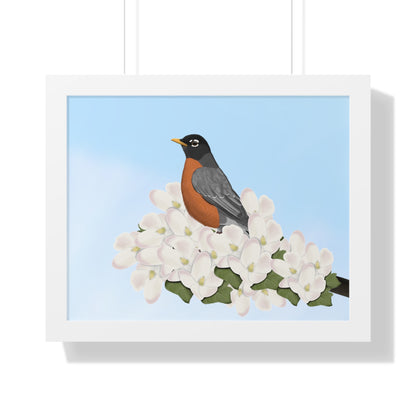 Robin Spring Blossoms Bird Framed Poster