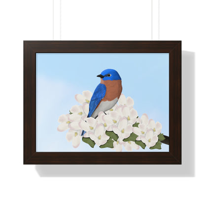 Eastern Bluebird Spring Blossoms Bird Framed Poster