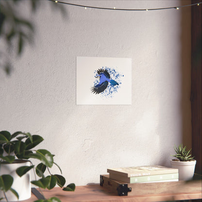 Blue Jay Bird Artwork Matte Poster