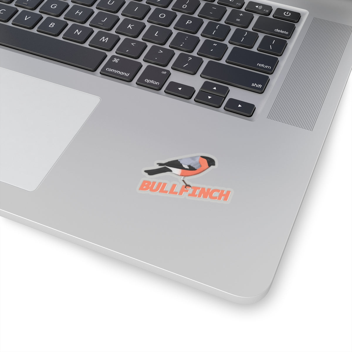 Bullfinch Sticker Bird Lover & Bird Watcher