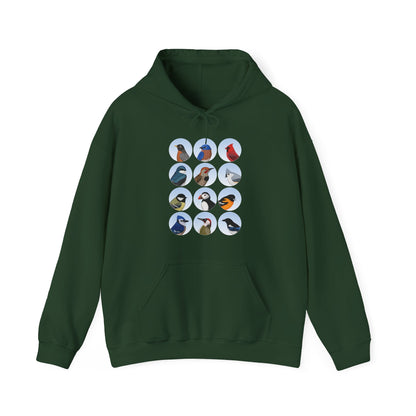 Birds Hoodie Bluebird Cardinal Blue Jay Robin Oriole Bird Lover & Bird Watcher