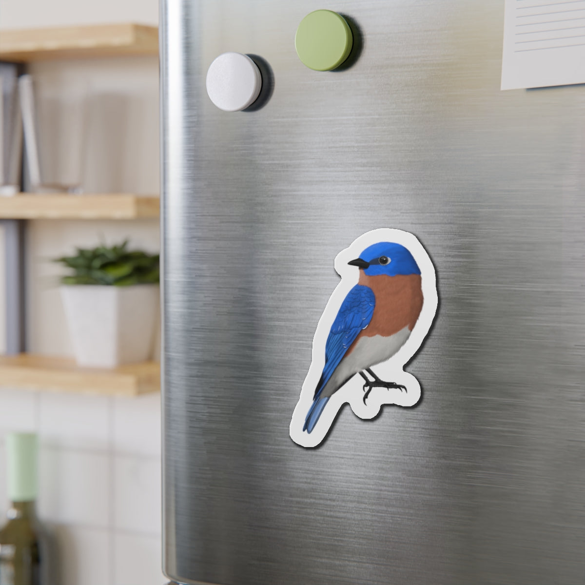 Bluebird Bird Magnet