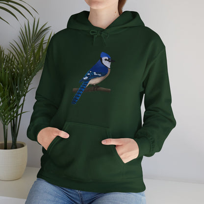 Blue Jay Bird Birdwatching Birder Hoodie