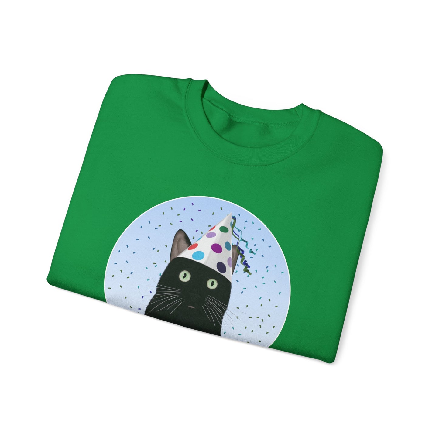 Black Cat Celebrating Party Time Cat Lover Sweatshirt