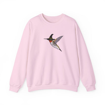 Hummingbird Halloween Birds Witch Birdwatcher Sweatshirt