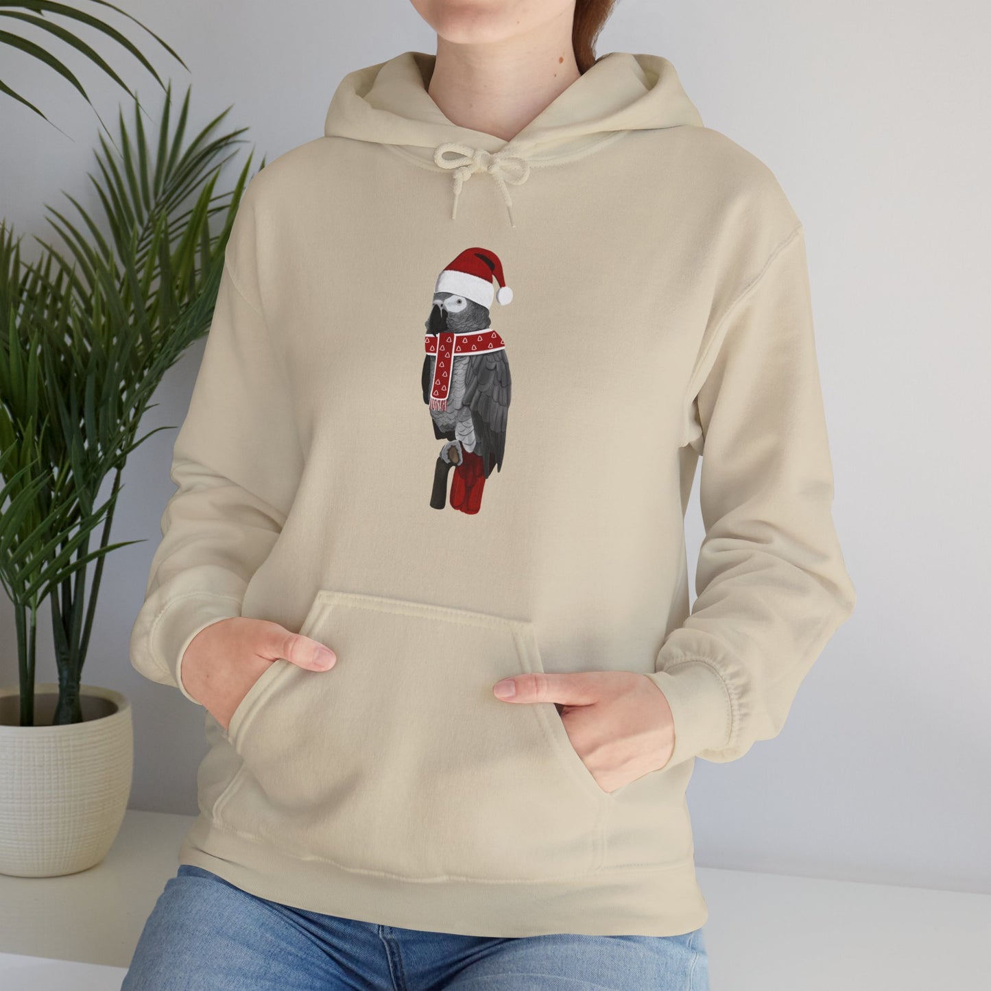 Grey Parrot Christmas Bird with Santa Hat Birdwatcher Birdlover Hoodie