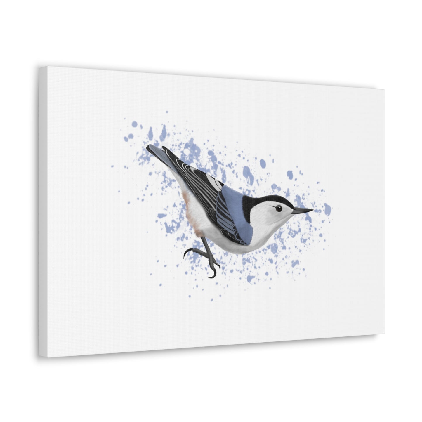 Nuthatch Bird Canvas Gallery Wrap White - jz.birds