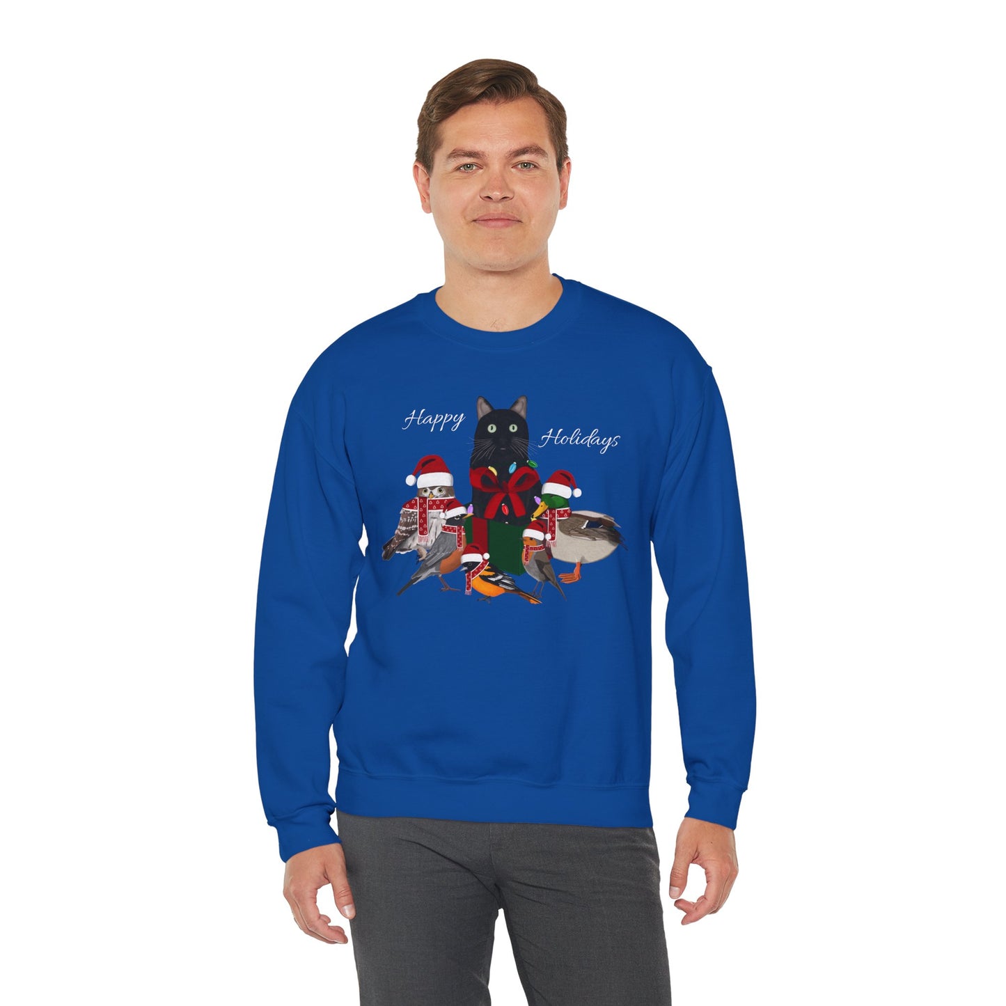 Robin Mallard Oriole Owl with Cat in a Box and Fairy Lights Happy Holidays Christmas Bird Sweatshirt