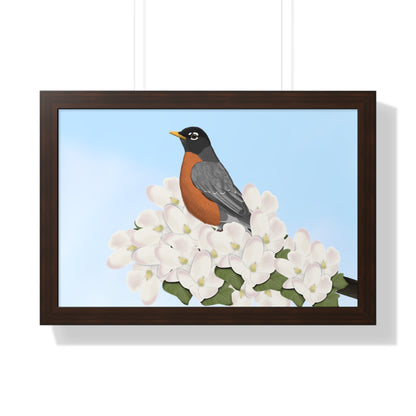 Robin Spring Blossoms Bird Framed Poster