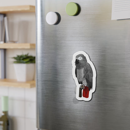 Grey Parrot Bird Magnet