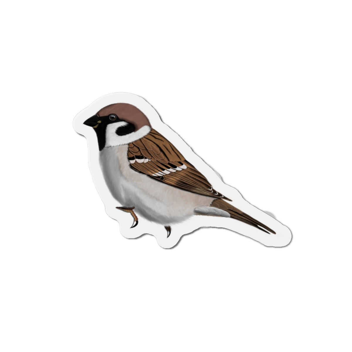 Tree Sparrow Bird Magnet