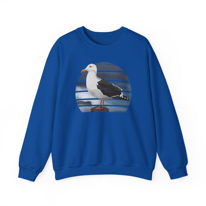 Seagull Birdlover Ornithologist Bird Sweatshirt