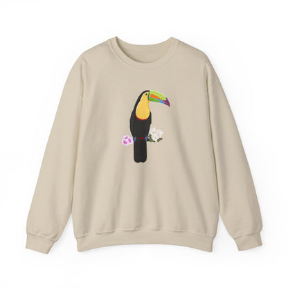 Keel-Billed Toucan Birdlover Ornithologist Bird Sweatshirt