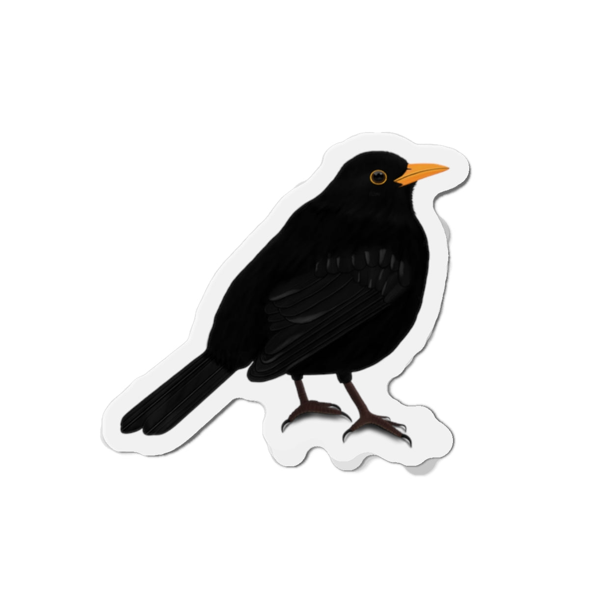 Blackbird Bird Magnet