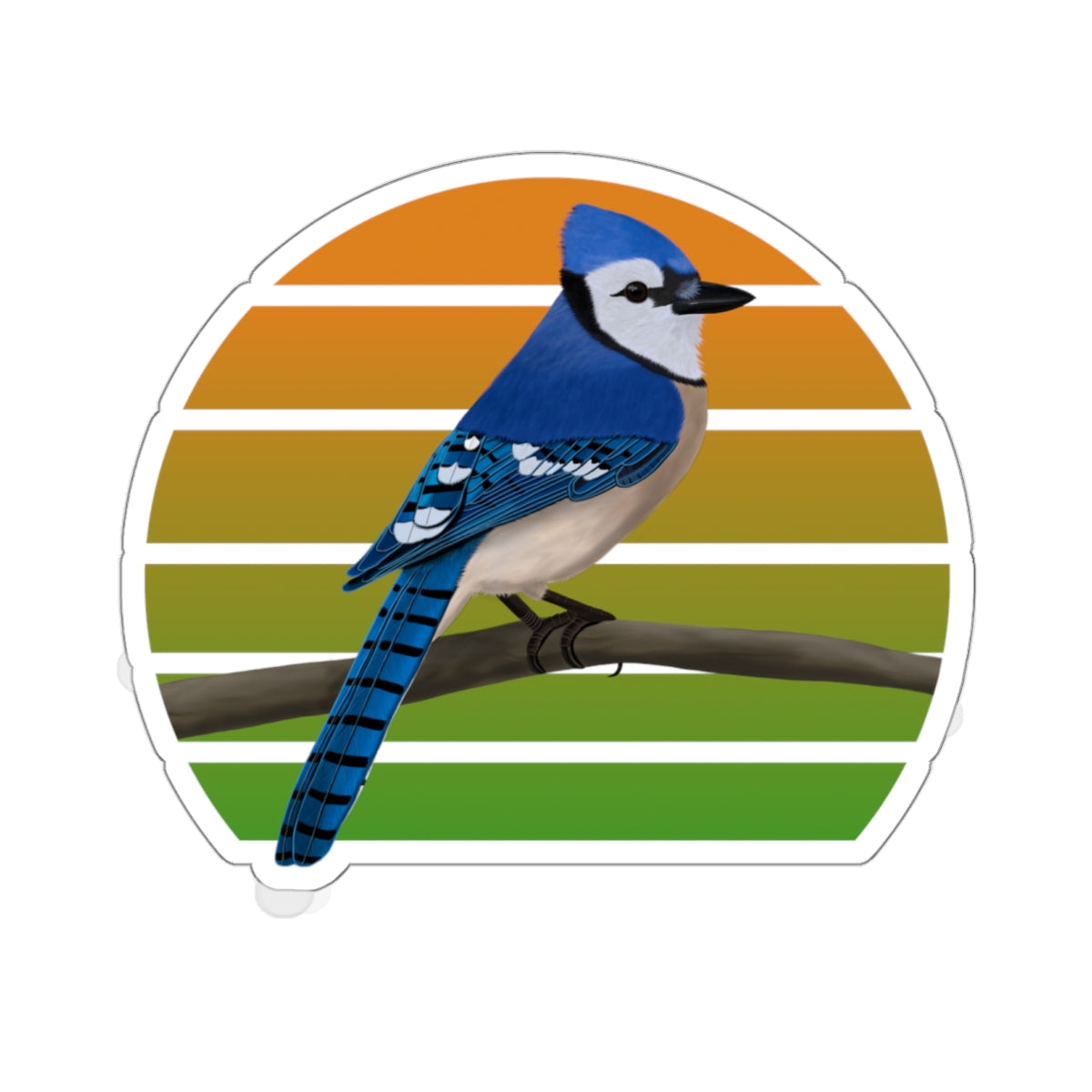 Blue Jay Bird Sticker