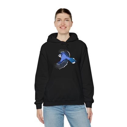 Blue Jay Bird Birdwatcher Biologist Birdlover Hoodie