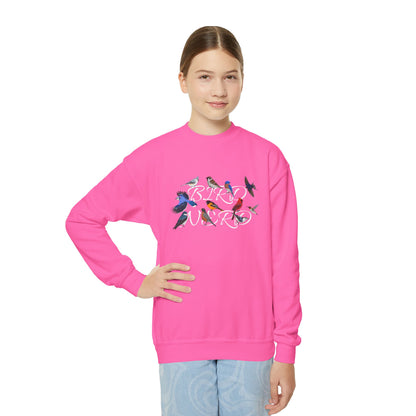 Bird Nerd Blue Jay Oriole Robin Barn Swallow Nuthatch Bird Birdwatching Youth Crewneck Sweatshirt