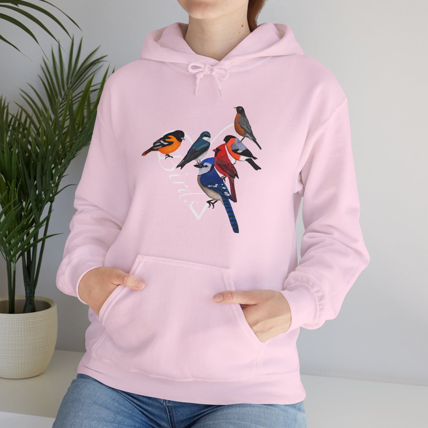 Backyard Birds Cardinal Robin Blue Jay Oriole Heart Bird Birdwatching Birdlover Hoodie