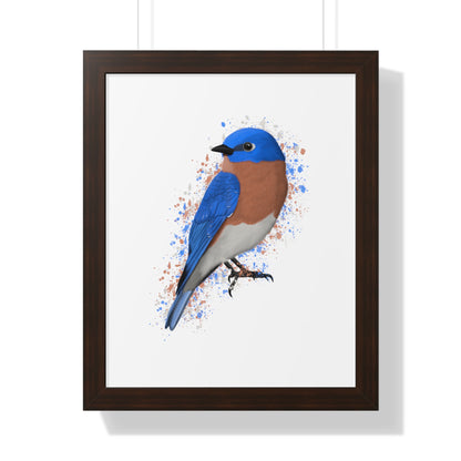 Bluebird Bird Framed Poster