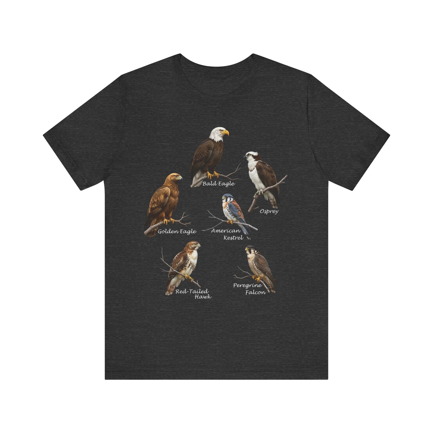 North American Raptors Shirt – Bald Eagle, Hawk, Osprey & Falcon Field Guide