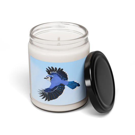 Blue Jay Bird Art Scented Soy Candle, 9oz