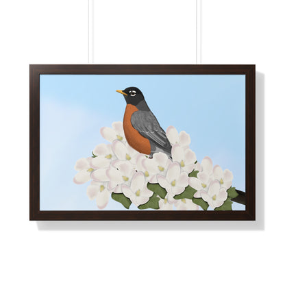 Robin Spring Blossoms Bird Framed Poster