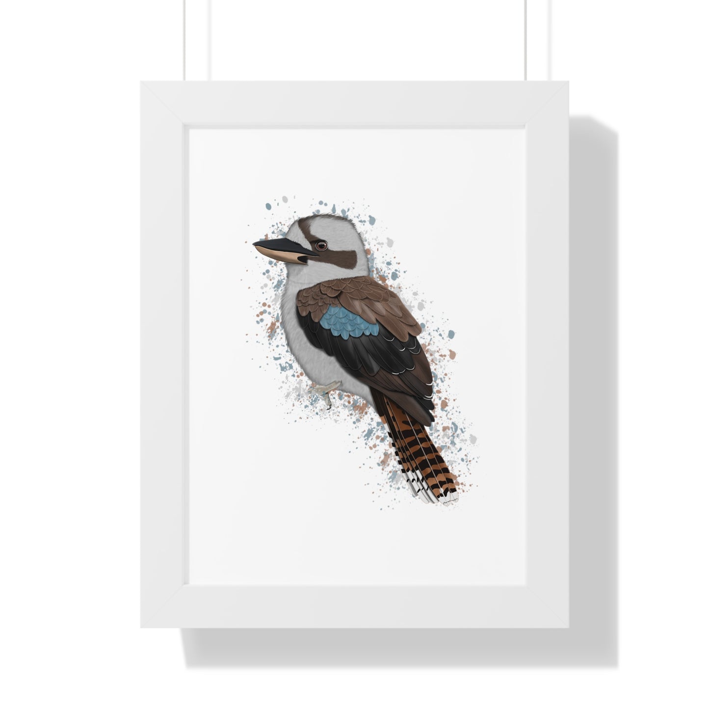 Kookaburra Bird Framed Poster
