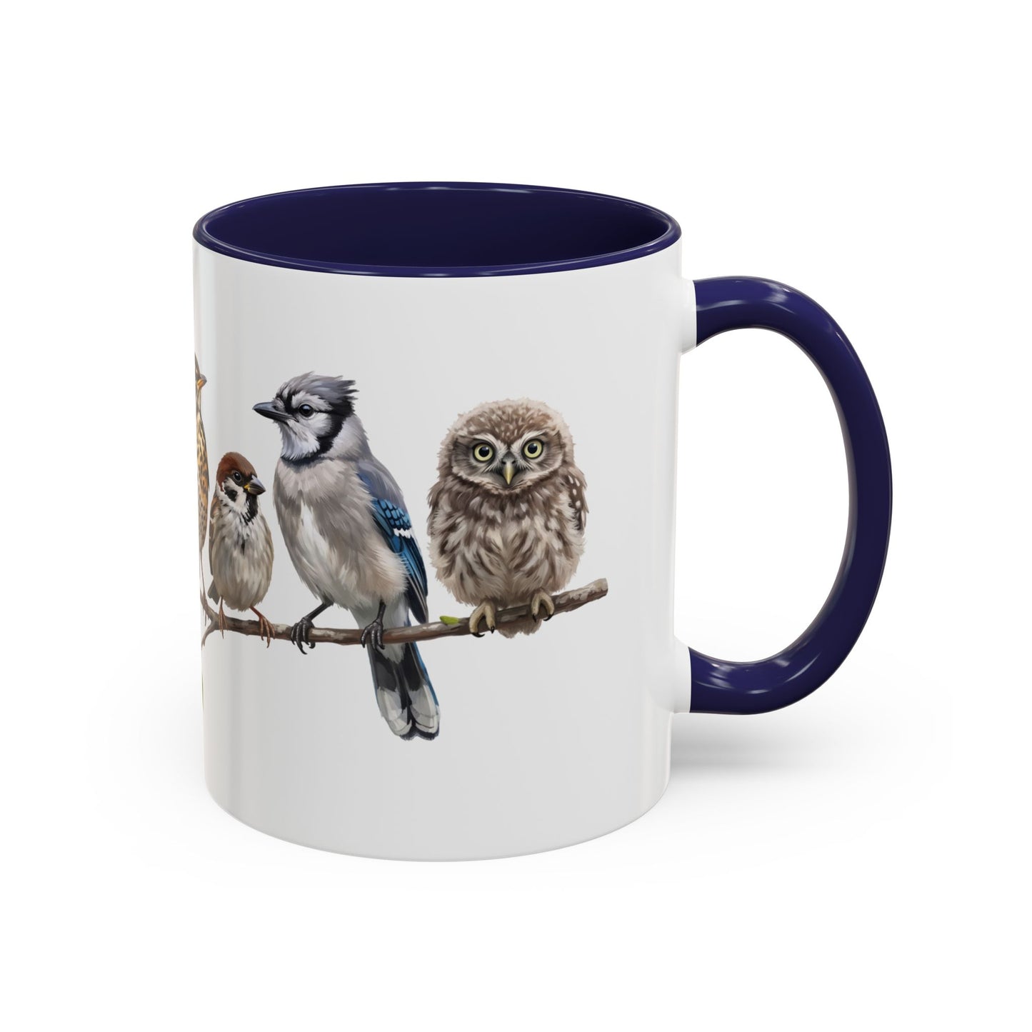 Blue Jay Cardinal Bluebird Little Owl Fledglings Two-Tone Mug | Spring Bird Lover Gift