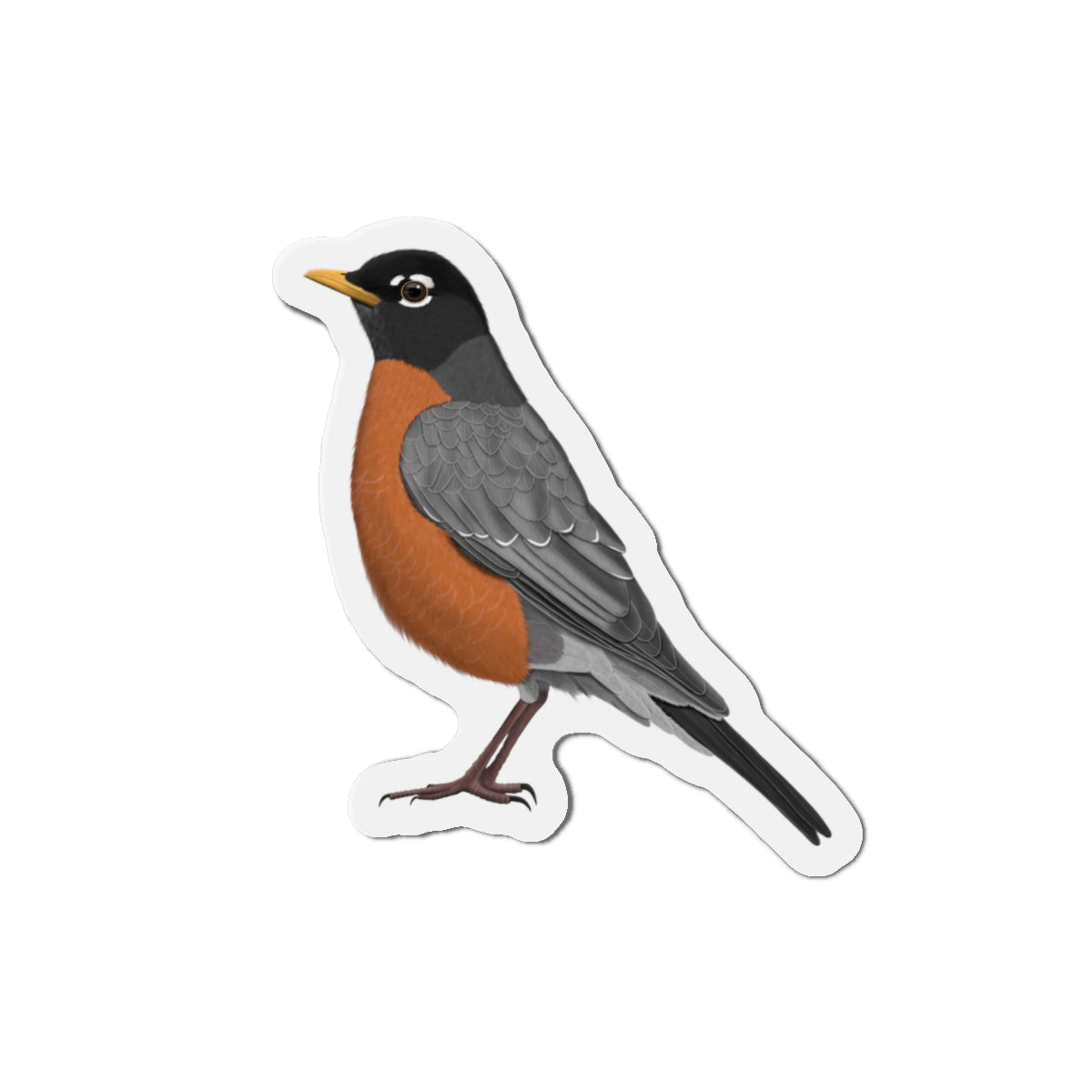 Robin Bird Magnet