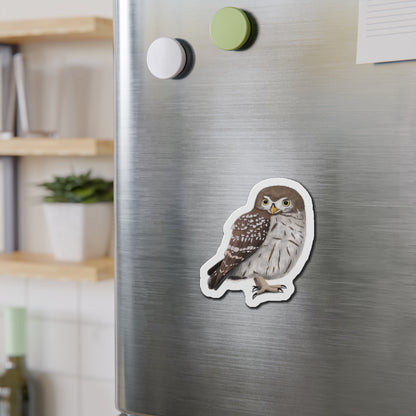 Little Owl Bird Magnet