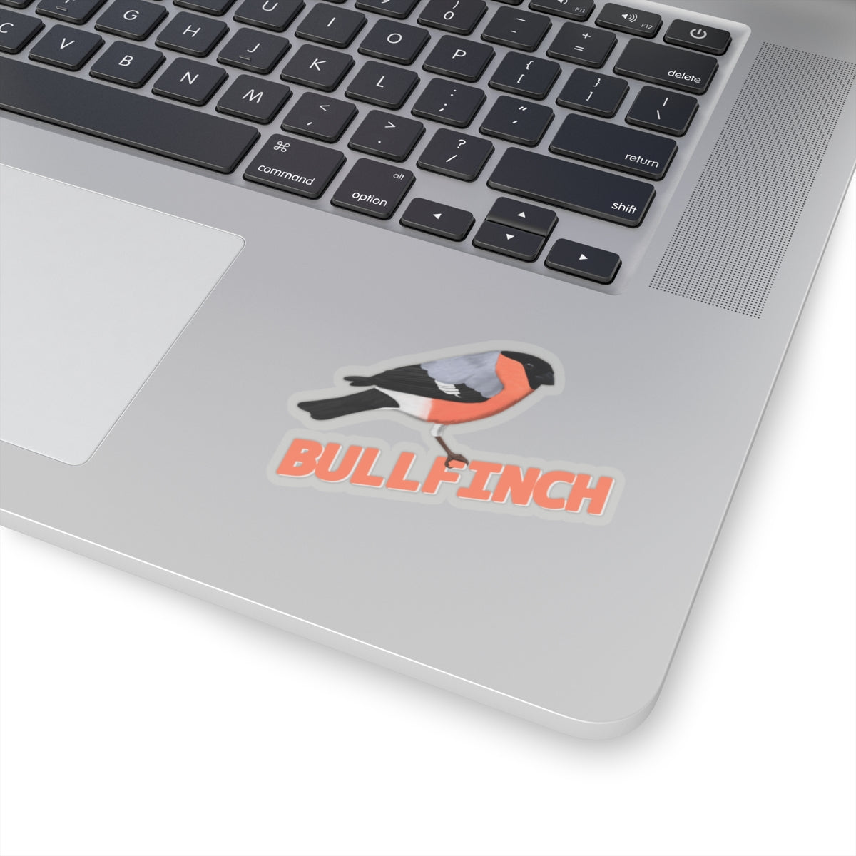 Bullfinch Sticker Bird Lover & Bird Watcher