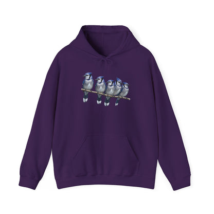 Blue Jays Hoodie Bird Lover & Bird Watcher | Unisex Sweater | Gift for Bird Lovers