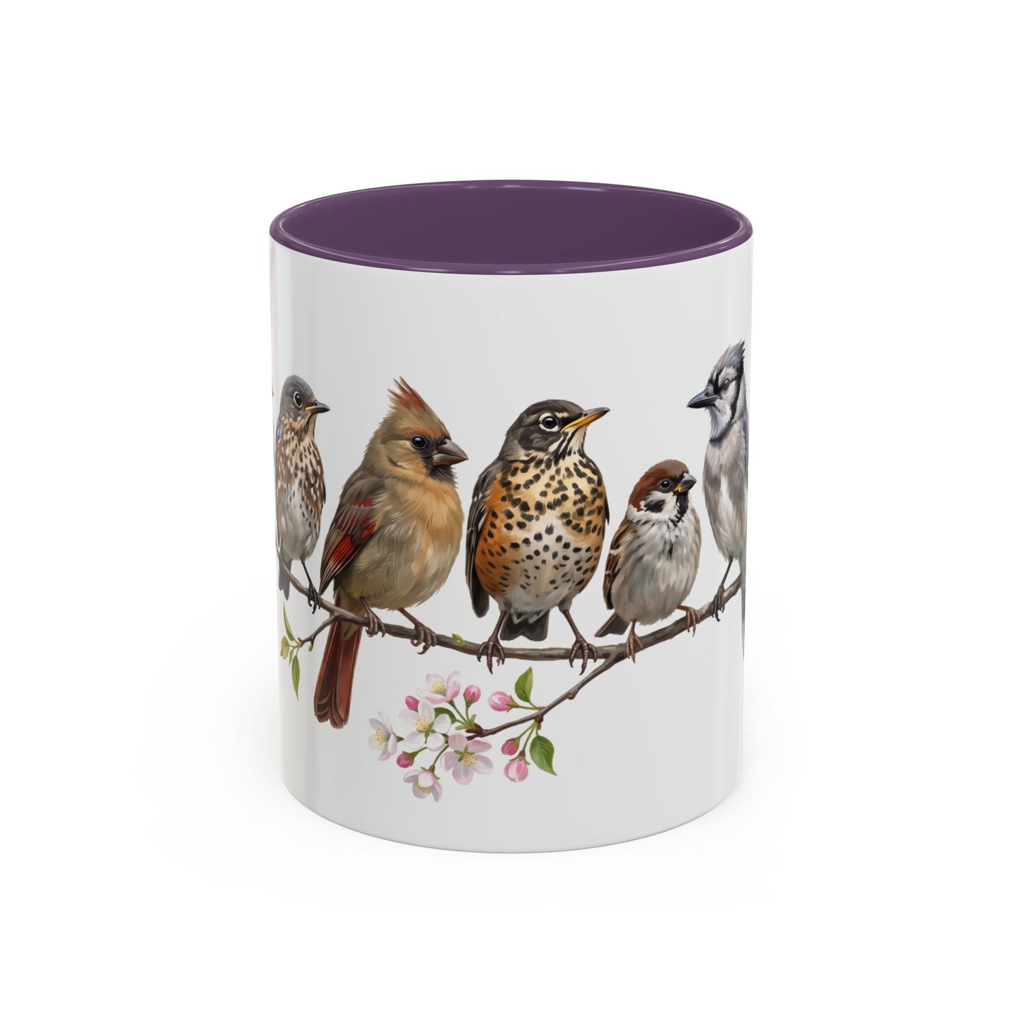Blue Jay Cardinal Bluebird Little Owl Fledglings Two-Tone Mug | Spring Bird Lover Gift