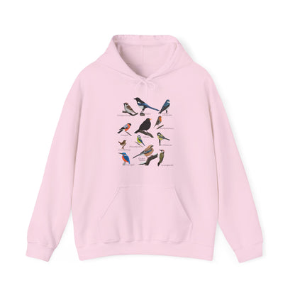 Gartenvögel Vogel Hoodie - Amsel Rotkehlchen Blaumeise Kapuzenpullover für Vogelbeobachter & Naturliebhaber mit Vogelmotiv