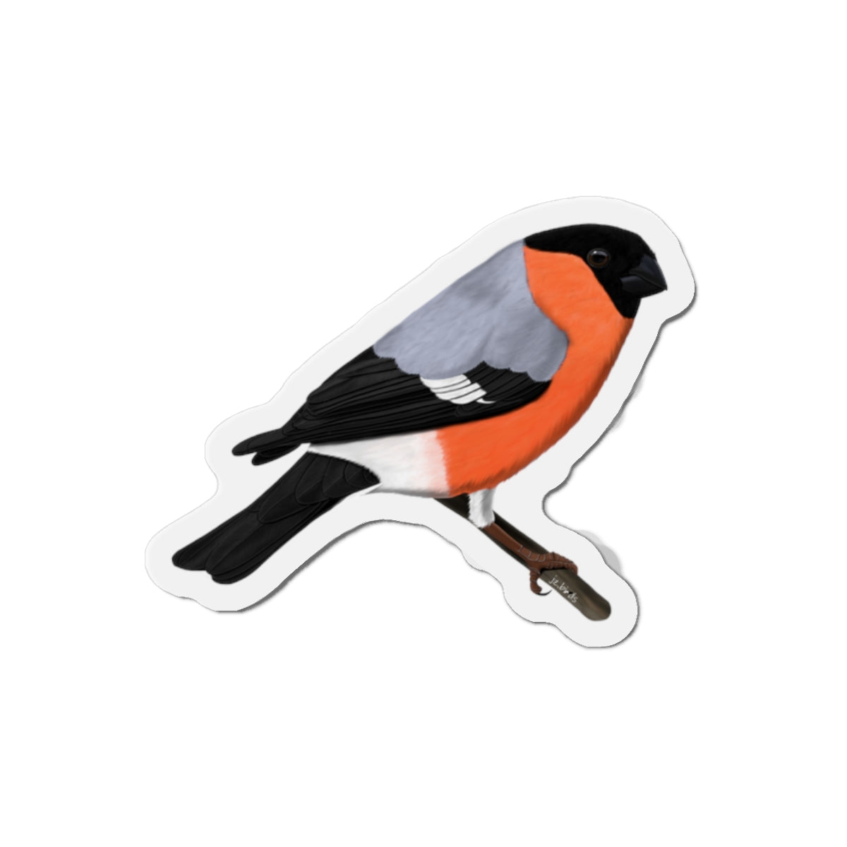 Bullfinch Bird Magnet