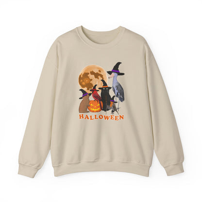 Cardinal Robin Shoebill Rabbit with Cat and Bunny Halloween Bird Sweatshirt