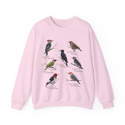 Woodpecker Sweatshirt on Animal Lover Gift background
