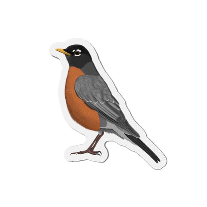 Robin Bird Magnet